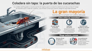 Una infografía muestra un fregadero con grifo, una coladera abierta y varias cucarachas saliendo de las tuberías. Incluye texto informativo y el logo Infobae.