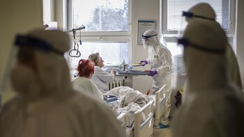 N.Y. Wants Pfizer Deal; Brazil