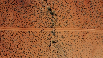 Vista aérea de un camino de tierra que cruza un terreno desértico de tierra roja con vegetación dispersa y varios corredores