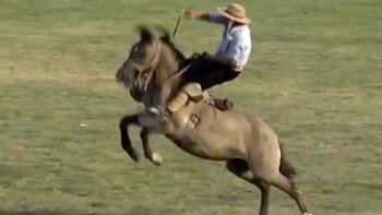 Tierverteidiger aus Uruguay forderten ein