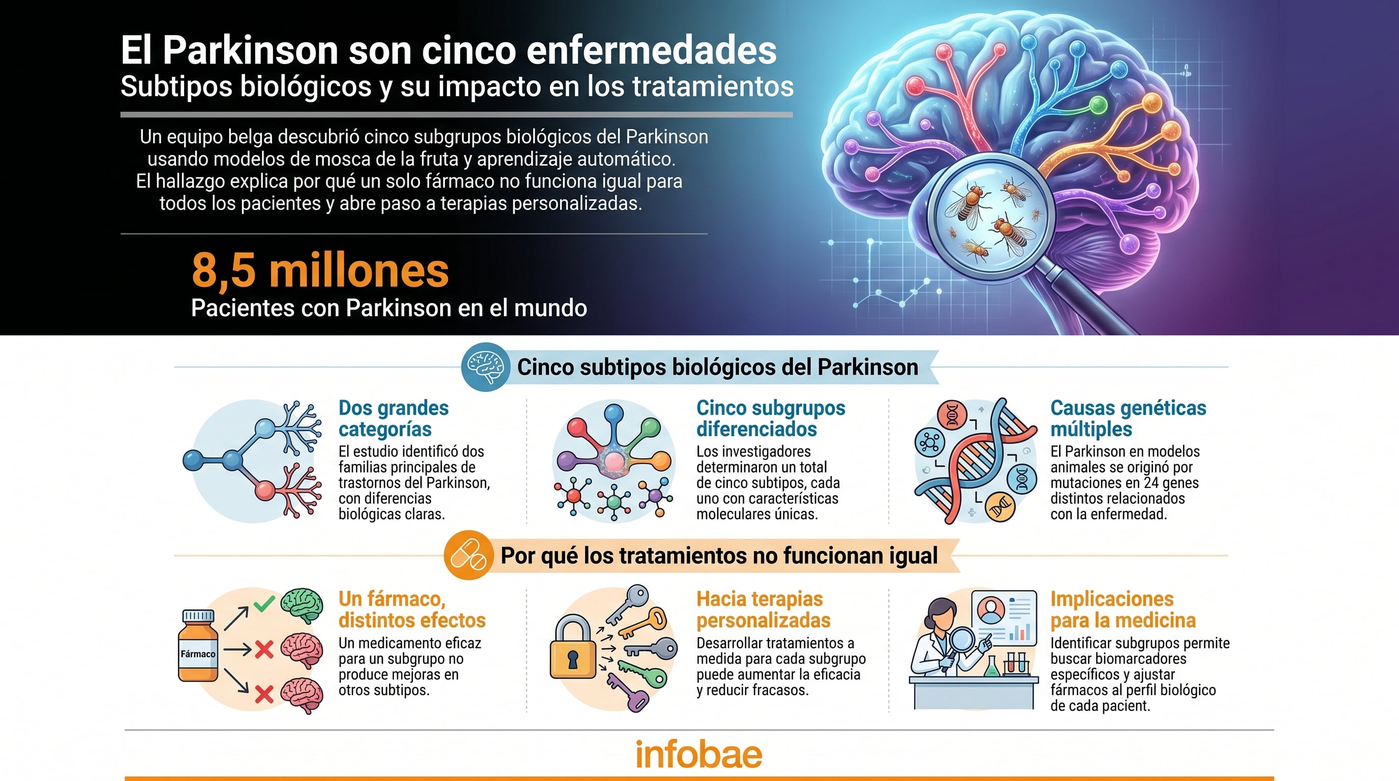 Un equipo de investigadores belgas descubrió cinco subtipos biológicos de la enfermedad de Parkinson utilizando modelos de mosca de la fruta, lo que podría conducir a terapias más personalizadas y efectivas. (Imagen Ilustrativa Infobae)