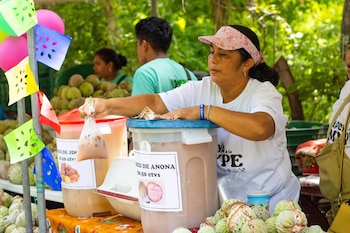 La jornada del 16 de agosto convirtió a la fruta local en la gran protagonista con una oferta comercial y gastronómica, además de actividades para conocer los cultivos y disfrutar del ambiente festivo (Foto cortesía Alcaldía de San Salvador Sur)