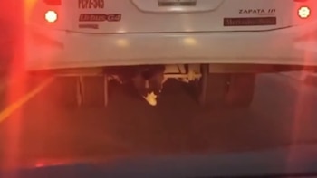 Adolescente de secundaria se escondió bajo un autobús y viajó así al menos por 70 km en Querétaro l VIDEO