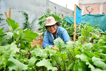 Jornadas comunitarias de compostaje y