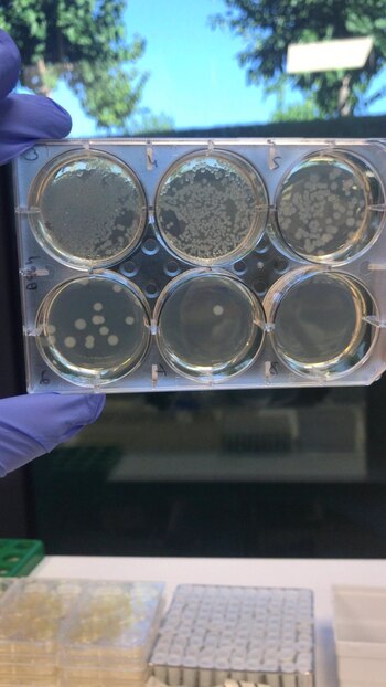 Imagen NRI6FDJTEZGXNNJSOHBCCWCUK4