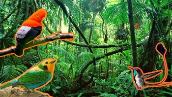 Perú, el paraíso natural de