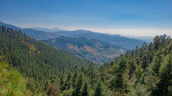 De acuerdo con la Secretaría