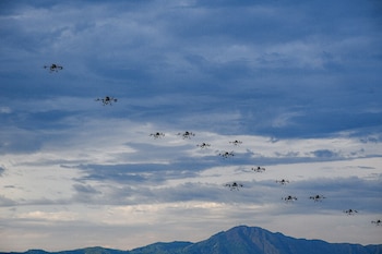 El proyecto es la respuesta