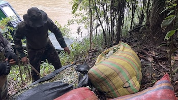 Personal militar con uniformes camuflados inspecciona varios sacos llenos de hojas a orillas de un río en la selva