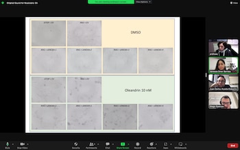 Reuniones para los avances de