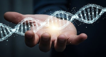 La influencia de los factores