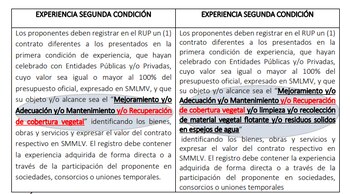 Foto 2. Aquí es claro