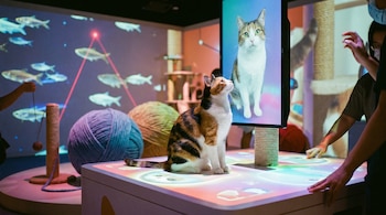 Un gato tricolor sentado sobre una mesa interactiva, con una pantalla mostrando un gato, bolas de lana, proyecciones de peces y personas en el fondo.