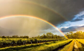 Temperatura, probabilidad de lluvia, nubosidad