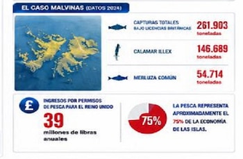 Infografía: pesca en Malvinas