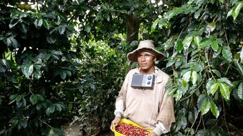 Consejo Superior de la Judicatura