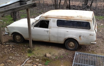 Los testigos afirman haber visto