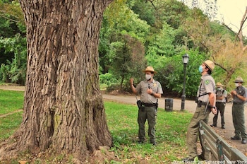 Los Urban Park Rangers encabezarán una caminata para explorar la flora, la fauna y las áreas boscosas del parque.