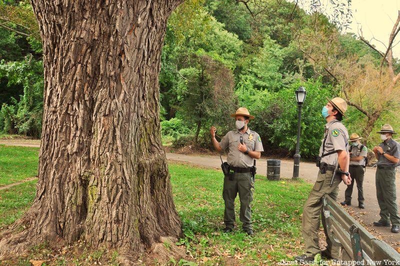 Los Urban Park Rangers encabezarán una caminata para explorar la flora, la fauna y las áreas boscosas del parque.