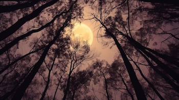 La luna muestra una parte