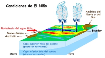 Los pescadores se refieren a