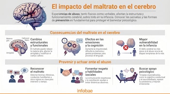 Infografía que muestra el impacto del maltrato en el cerebro, con un dibujo de un cerebro con grietas, diagramas de sus partes e iconos sobre prevención y apoyo.