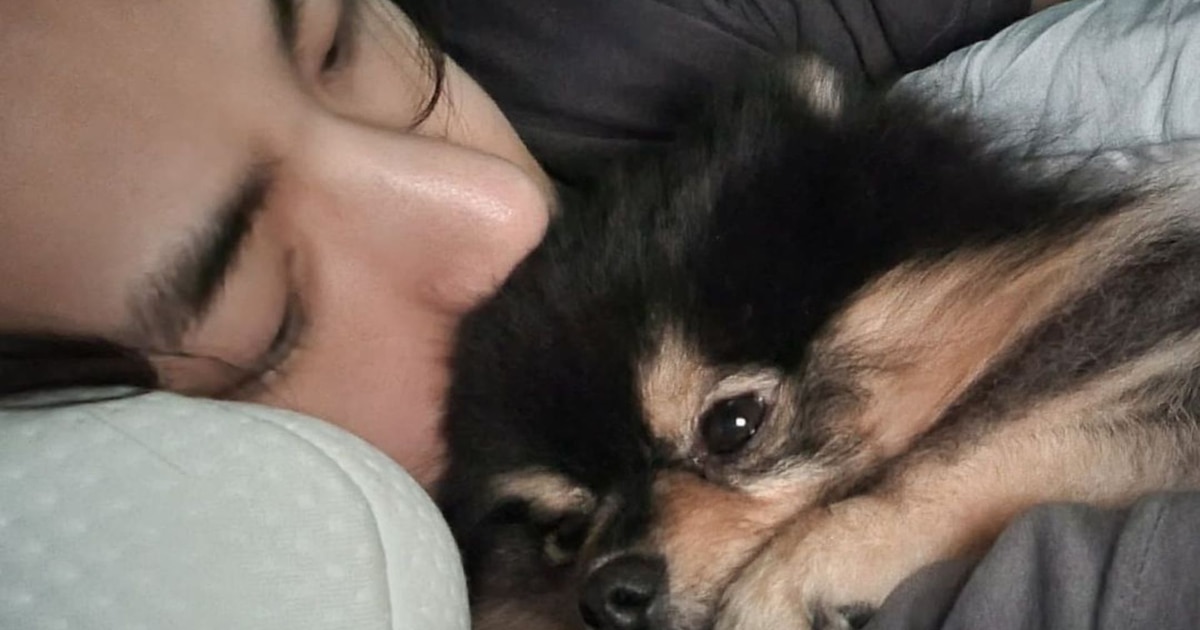 La hermosa relación que tiene V de BTS con su mascota Yeontan - Infobae