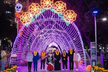 Ocho personas posan de pie en un sendero bajo una estructura de arcos con guirnaldas de luces violetas y figuras florales iluminadas