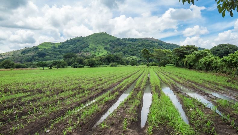 La Asociación Nacional de Trabajadores Agropecuarios y el Ministerio de Agricultura acuerdan anticipar las siembras de invierno ante el riesgo de sequía para el ciclo agrícola 2026-2027. (Cortesía: Presidencia de la República de El Salvador)