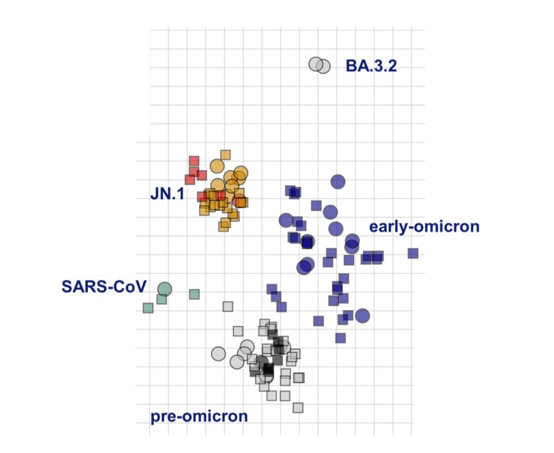 Mapa de distancia antigénica: BA.3.2 aparece más alejada de variantes recientes como JN.1, una señal de mayor diferencia inmunológica respecto de linajes que dominaron la circulación reciente. (OMS)