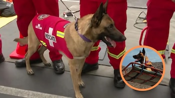 Kayra, la perrita rescatista que salvó una vida en Venezuela, fue ovacionada durante la Gran Parada y Desfile Cívico Militar 2026