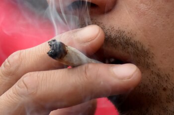 La marihuana es una de