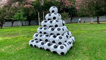 Cómo es la campaña que