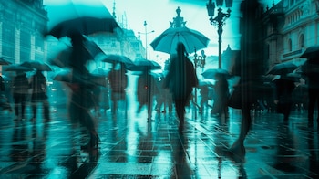 Para poner en práctica un