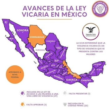 La violencia vicaria está tipificada