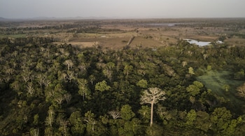 Donde antes predominaba la ganadería y luego cultivos de café junto con áreas de bosque, se registró el desplazamiento de diversas especies silvestres. (Ambiente)