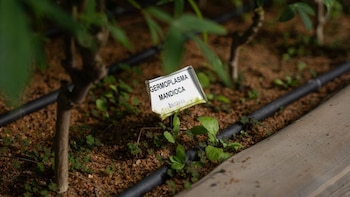 Misiones para uso de Inhouse