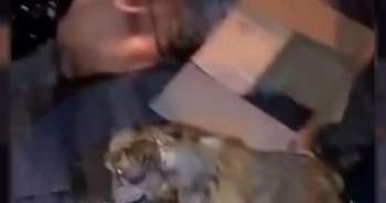 En Salta, empleados de recolección