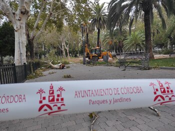 Actuaciones de Parques y Jardines