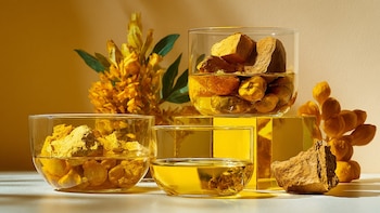 Qué es la Berberina, cuántos