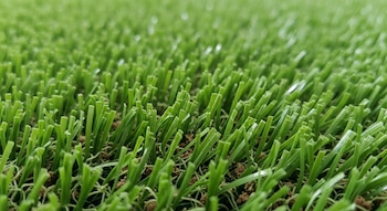 Una vista de cerca del césped sintético verde, mostrando las fibras individuales y el relleno granular marrón en la base.