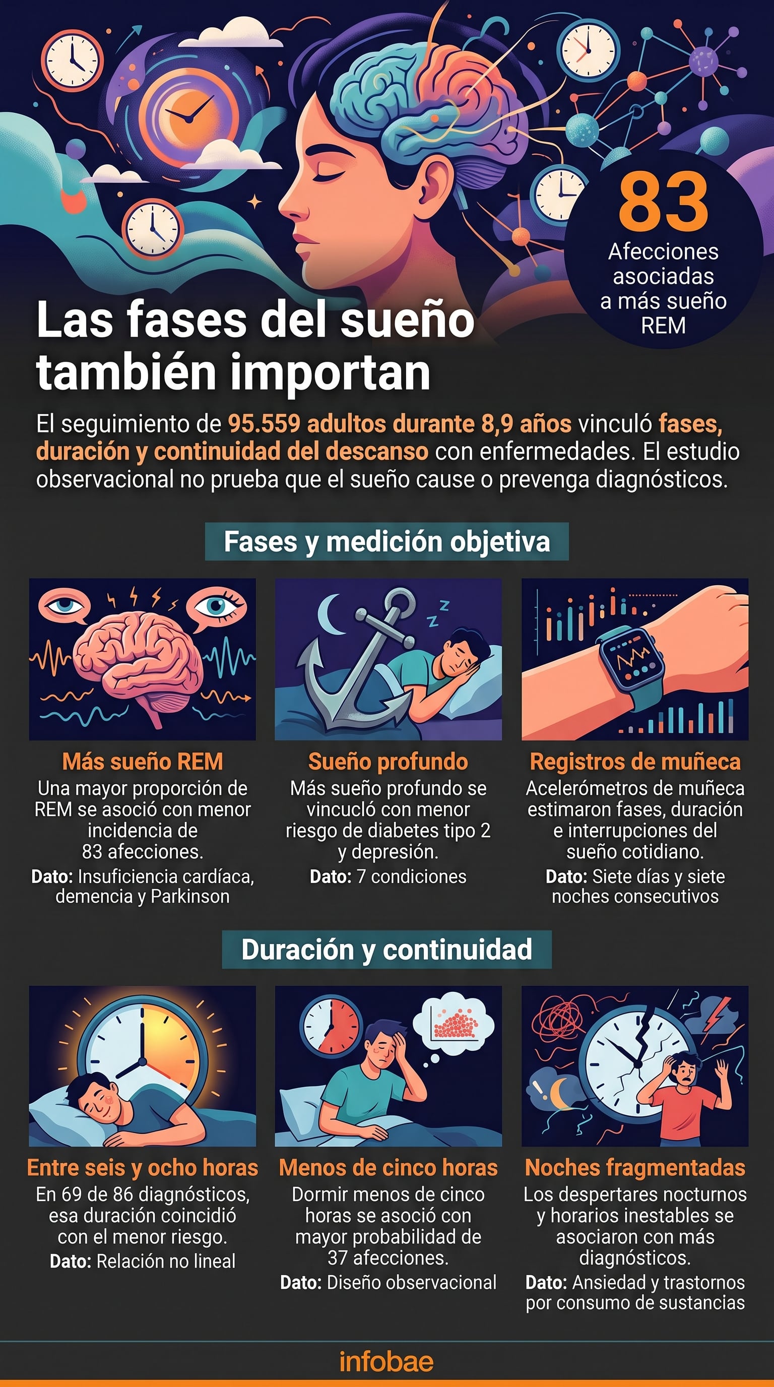 Una infografía de Infobae resume un estudio en el Reino Unido sobre la relación entre las fases del descanso nocturno y la prevención de enfermedades. (Imagen Ilustrativa Infobae)