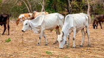 En un mundo con tanta