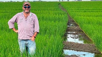 Marcelo Cataneo, arrocero de Entre