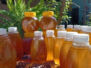 Miel 100% natural y orgánica,