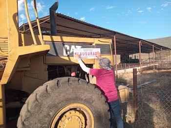La Profepa decidió establecer una