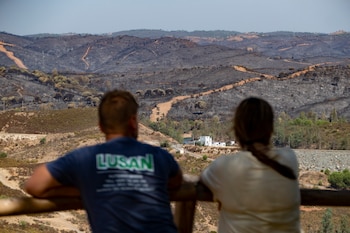 Vista de la tierra quemada por el incendio de Niebla, a 15 de agosto de 2026. (EFE/ David Arjona)