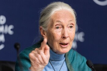 Jane Goodall es una reconocida