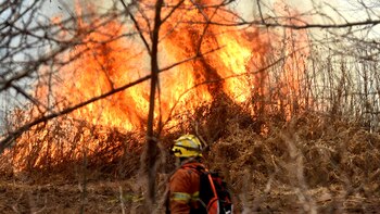 Bomberos combaten los focos de