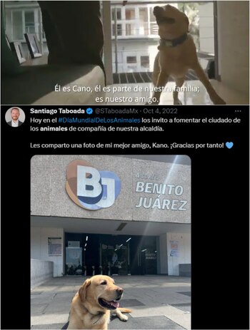 Con capturas de videos y